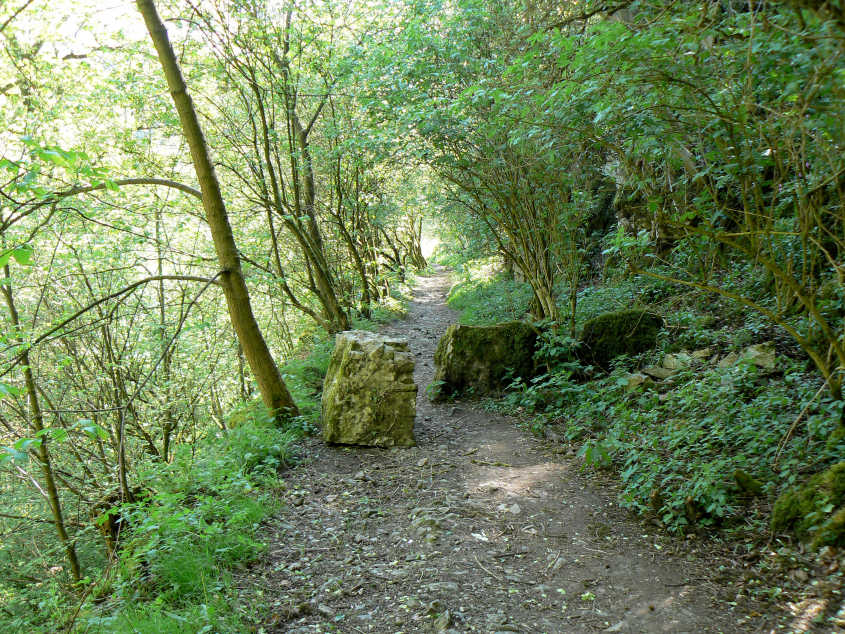 Limestone Way