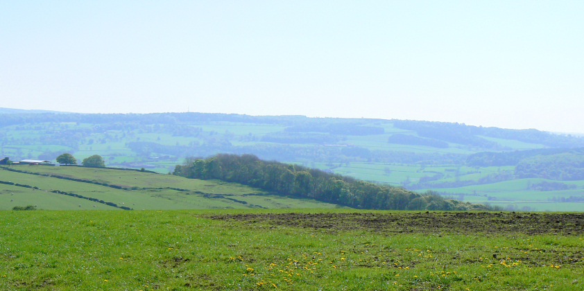 Stanton Moor