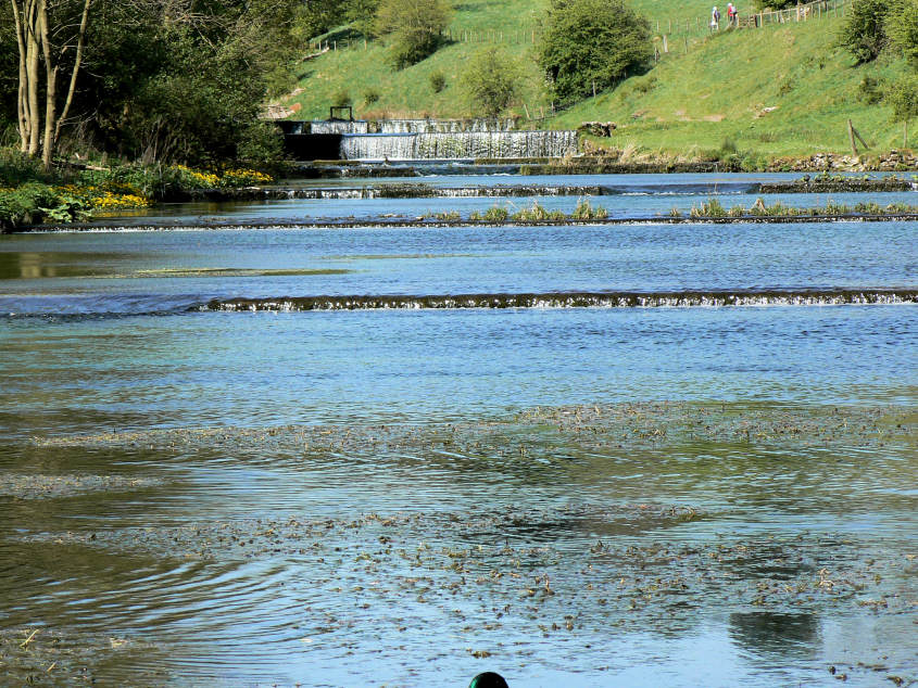 Lathkill Dale