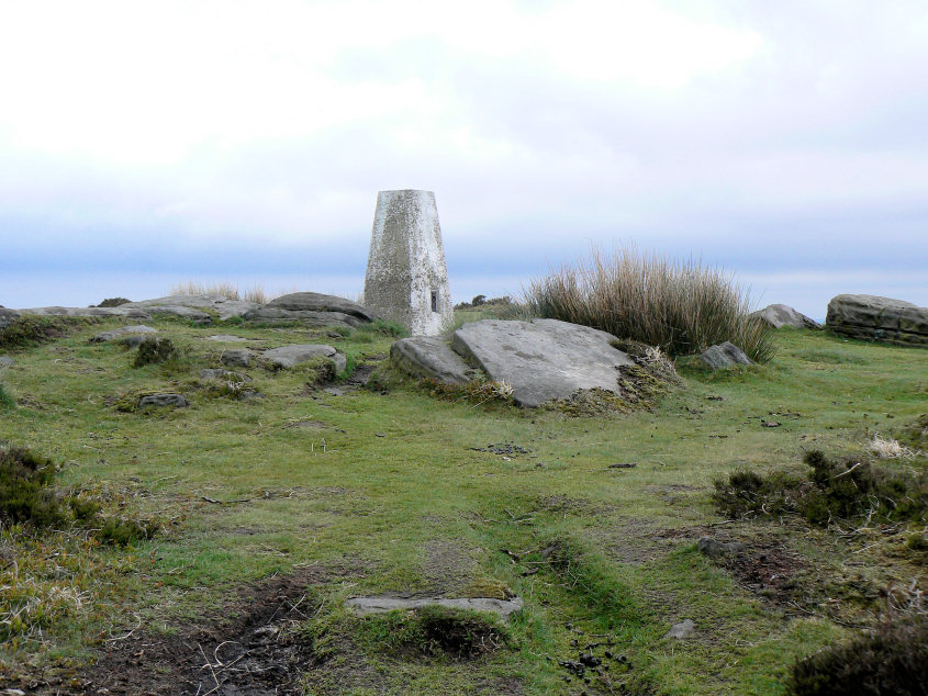 White Edge trig