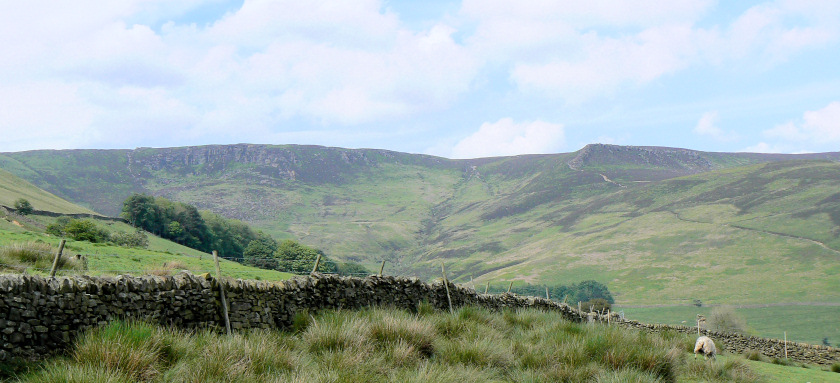 Nether Tor & Ringing Roger