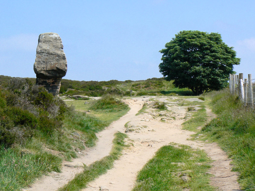 Cork Stone