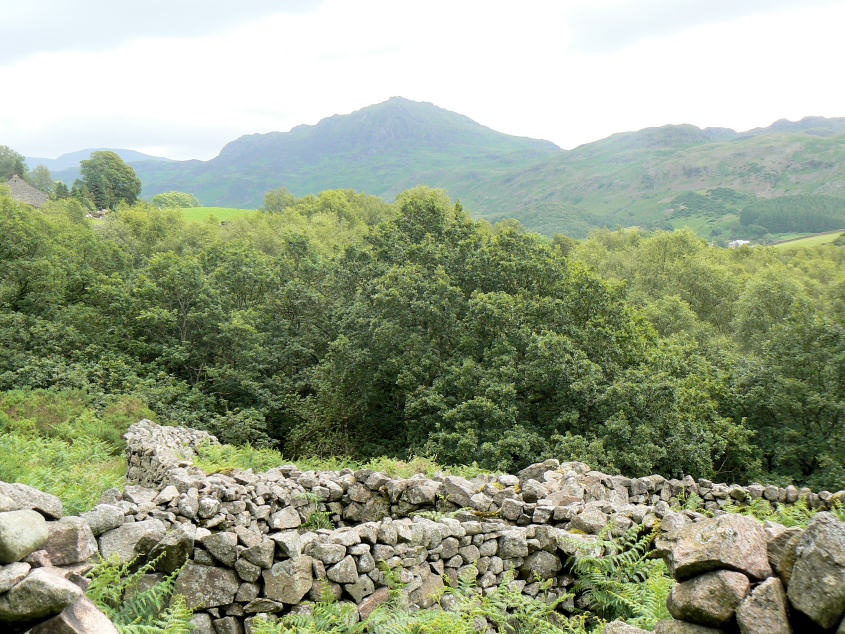 Harter Fell