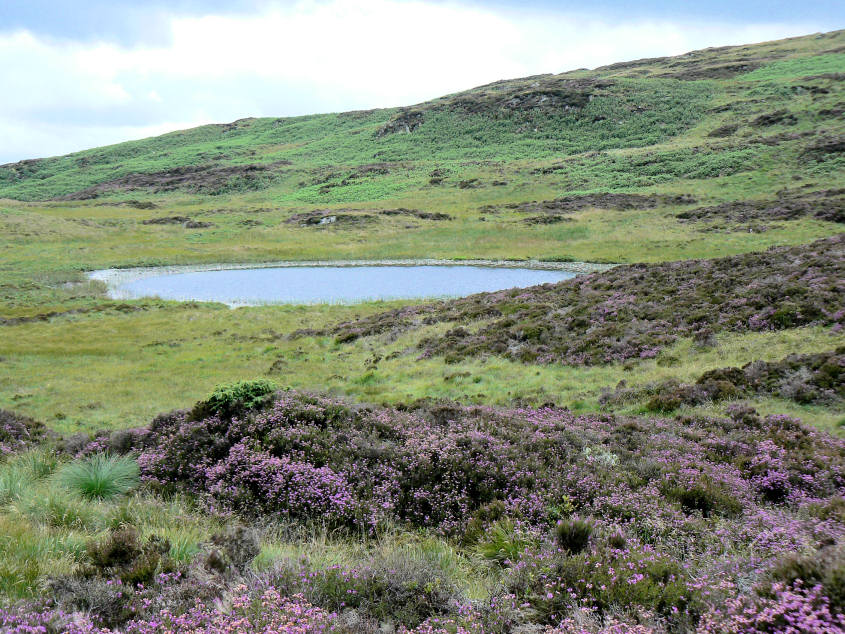 Arnsbarrow Tarn