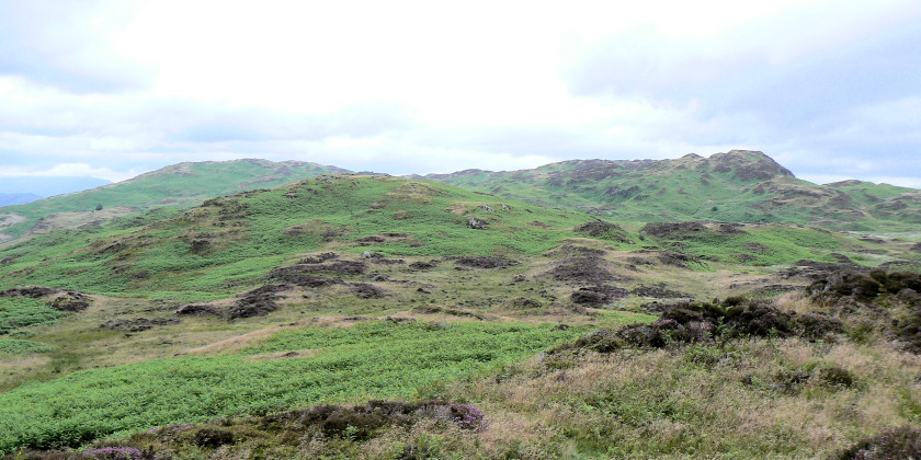 View from Low Light Haw