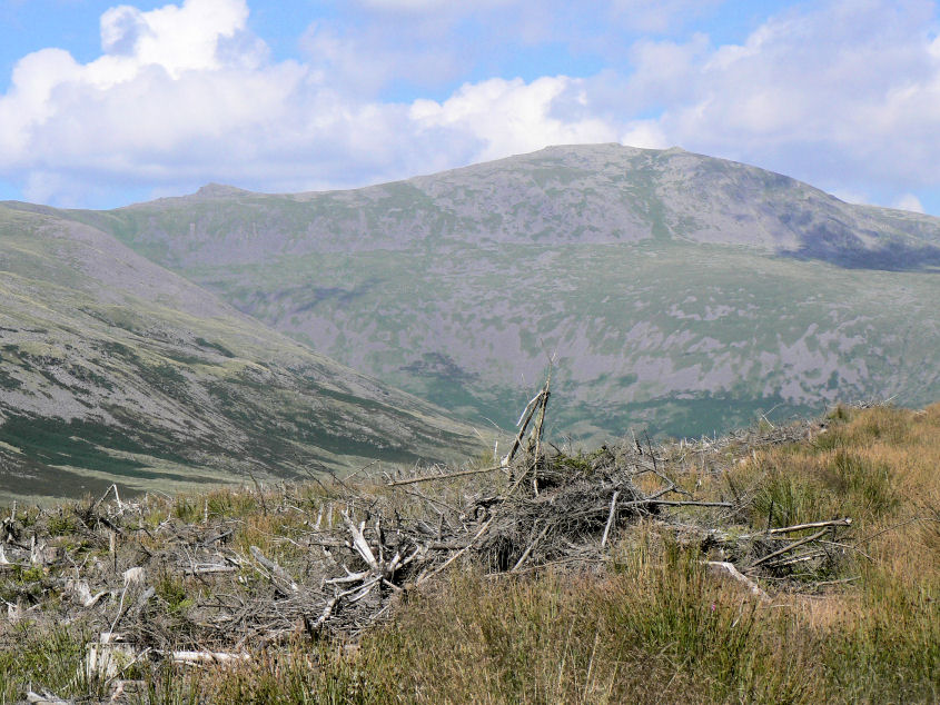 Little Gowder Crag & Haycock