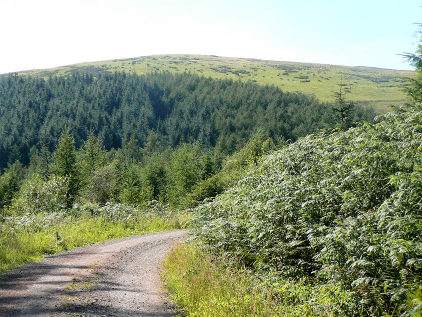 Ponsonby Fell