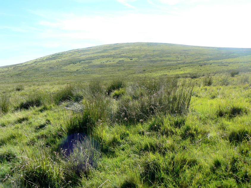 Ponsonby Fell