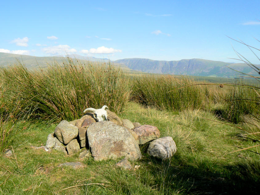 Ponsonby Fell's summit