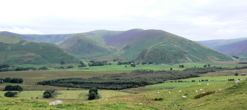 Bowscale Fell & The Tongue