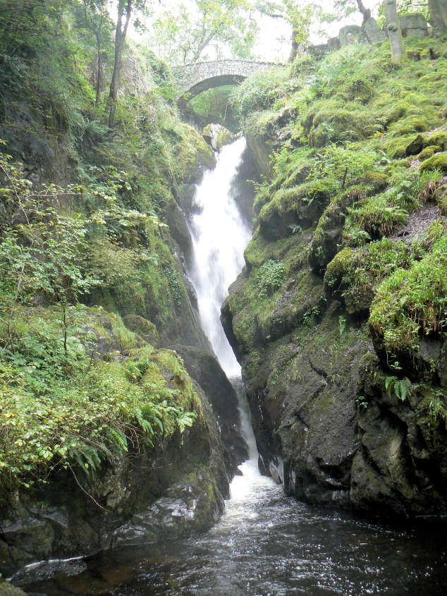 Aira Force