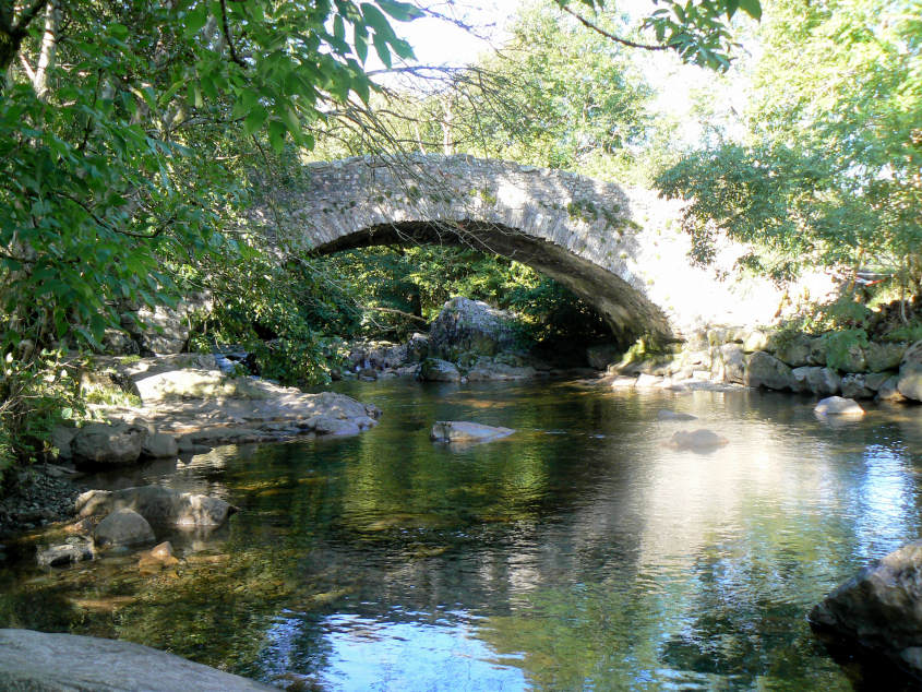 Doctor Bridge