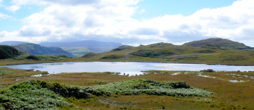 Eel Tarn