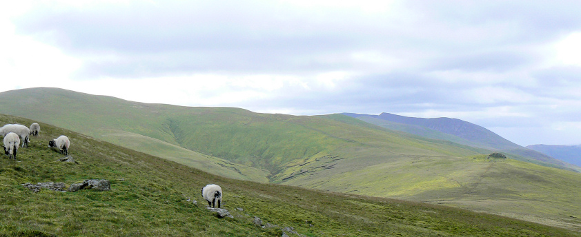 Calfhow Pike & Great Dodd
