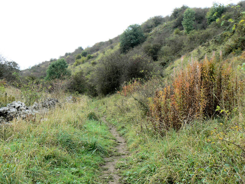 Gratton Dale