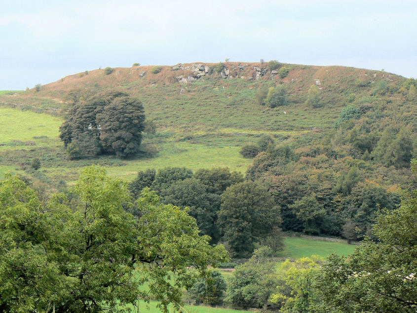 Harthill Moor