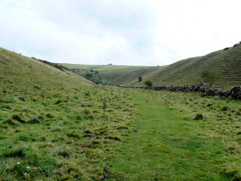 Long Dale