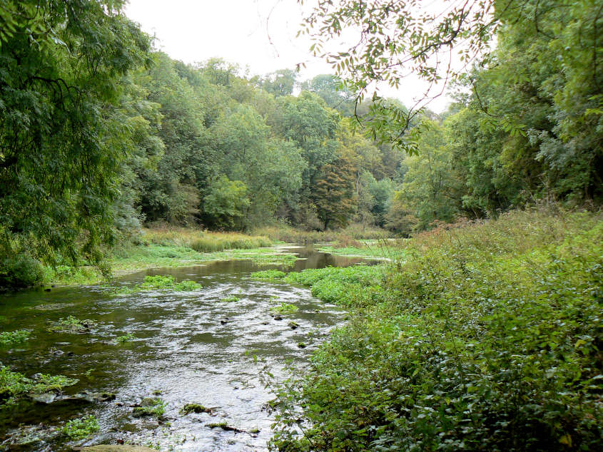 Bradford Dale