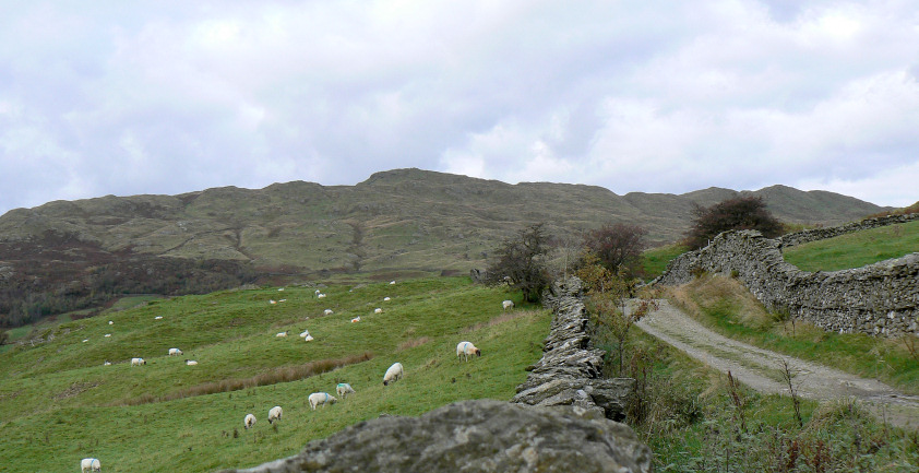 Wansfell