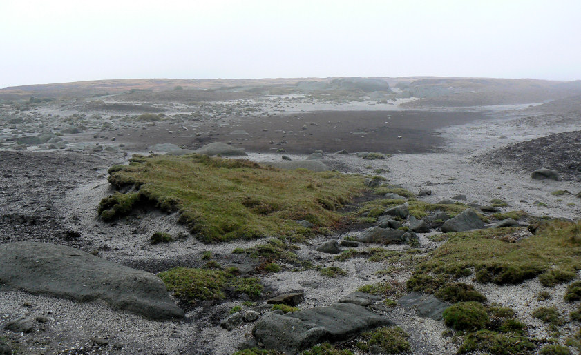 Kinder Low