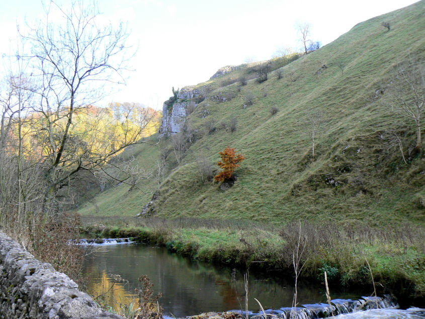 Shining Tor