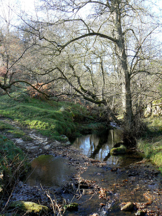 Highlow Brook