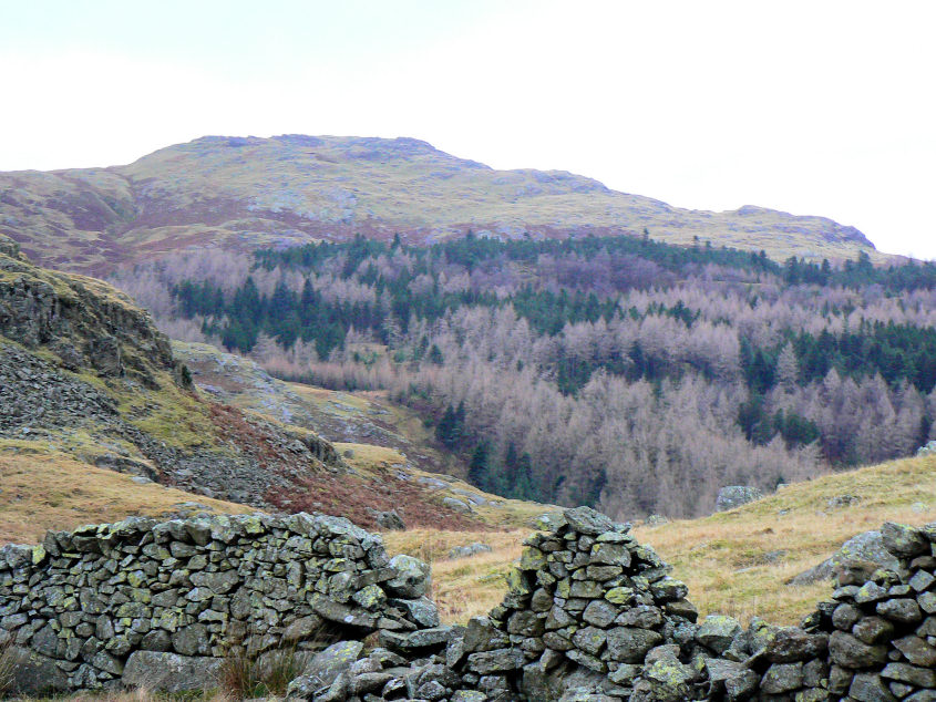 Blea Tarn Fell