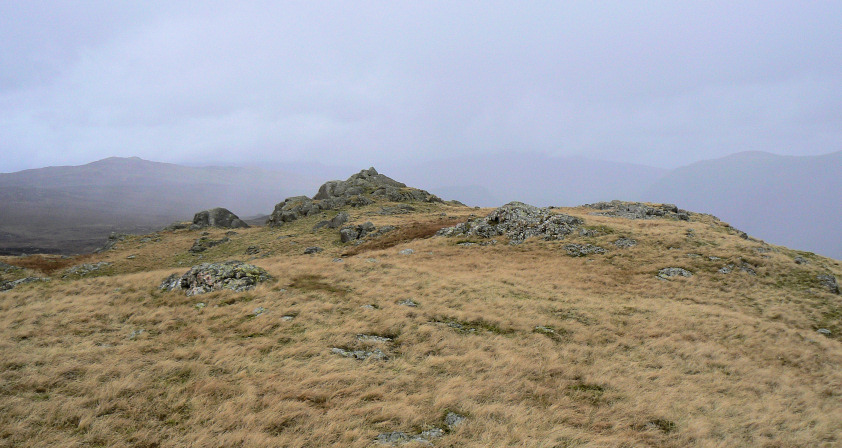 Blea Tarn Fell's summit