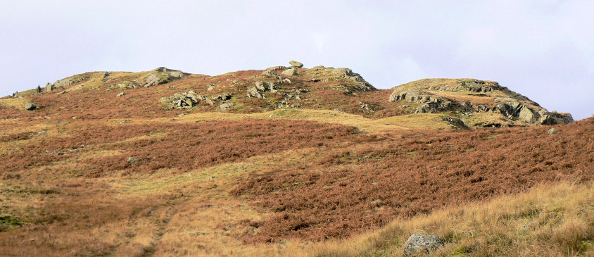 Brown Rigg