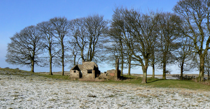 Middleton Moor