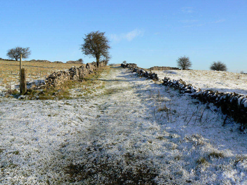 Middleton Moor