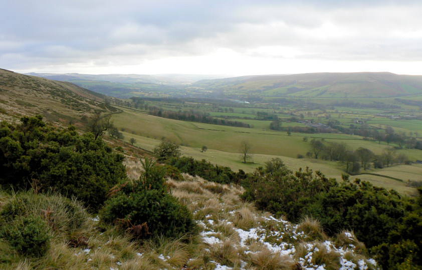 Offerton Moor