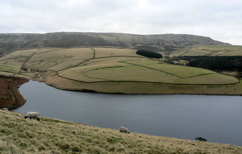 Kinder Low