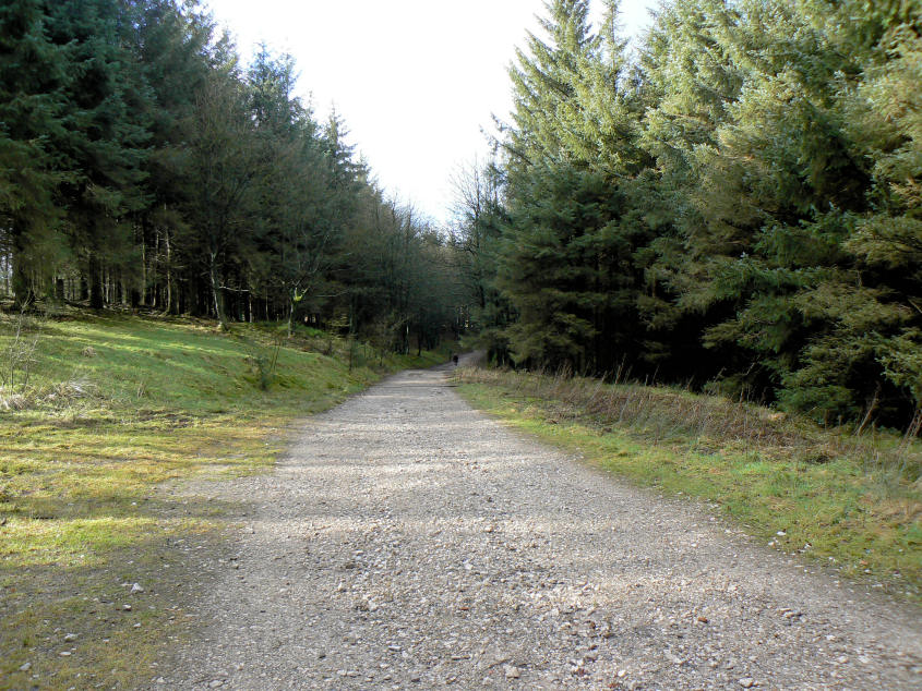 Macclesfield Forest