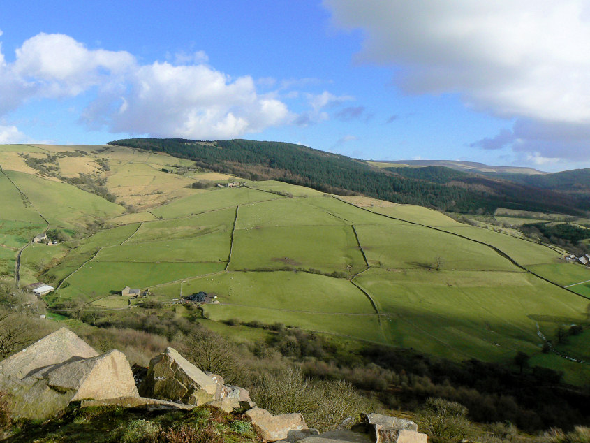 Macclesfield Forest