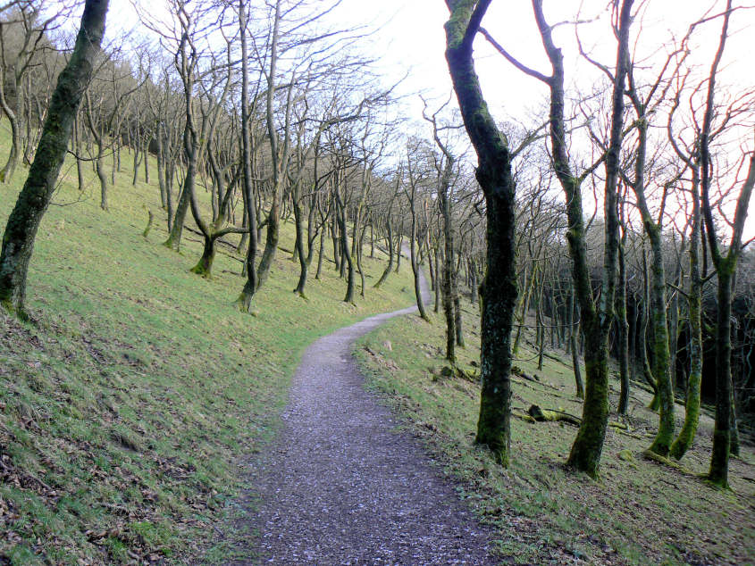 Macclesfield Forest