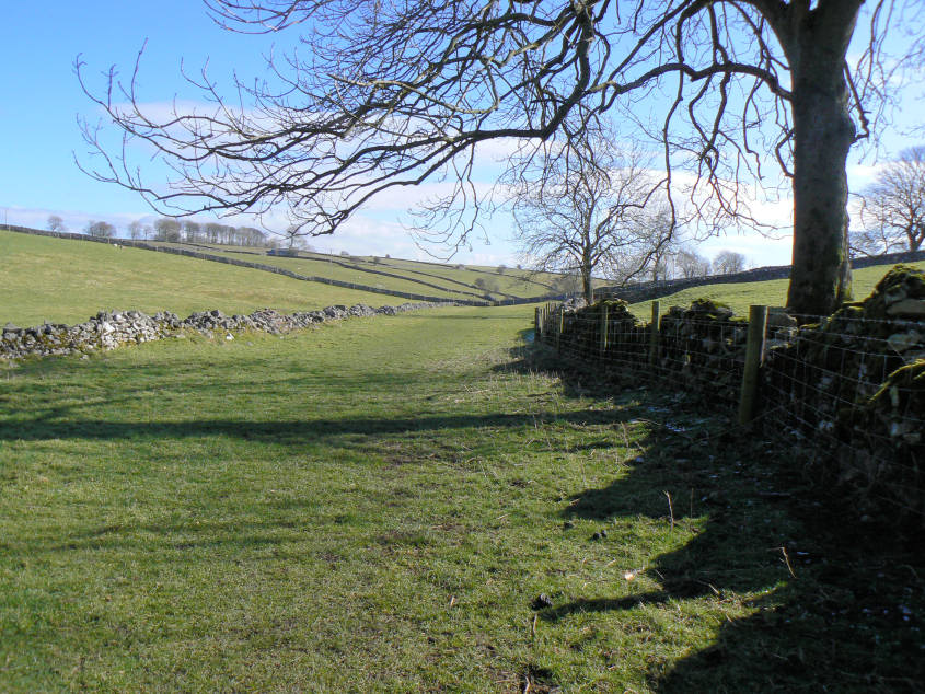 Bagshaw Dale