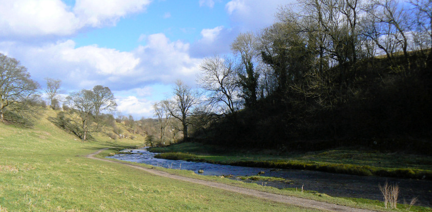 Bradford Dale