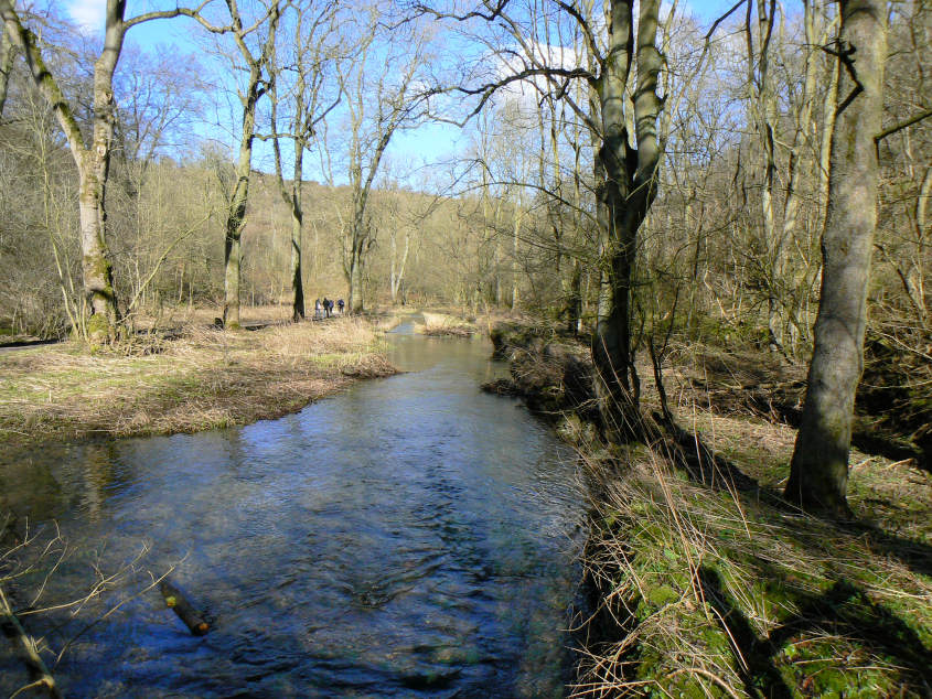 Lathkill Dale