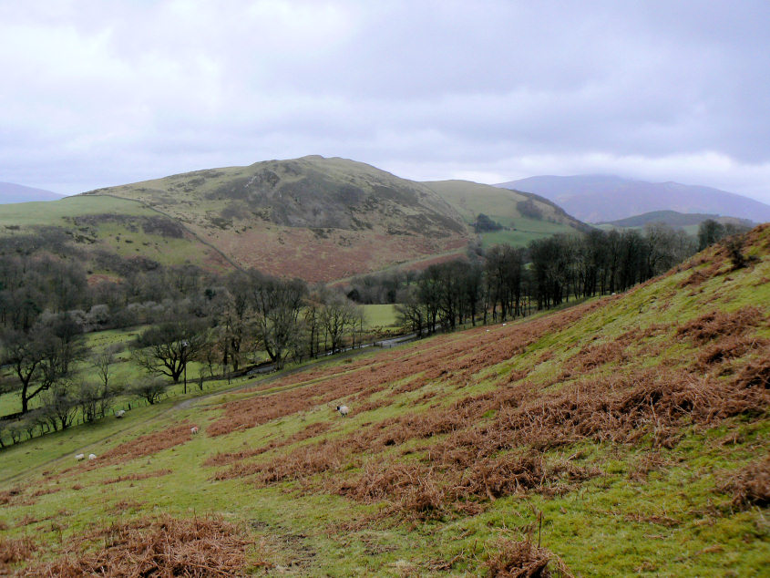 Sale Fell