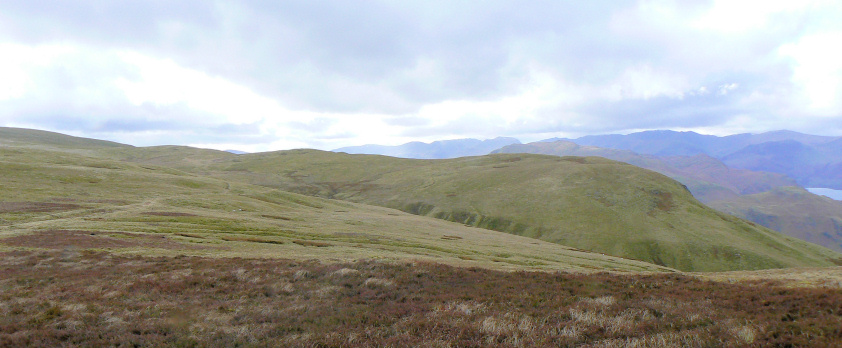 Bonscale Pike