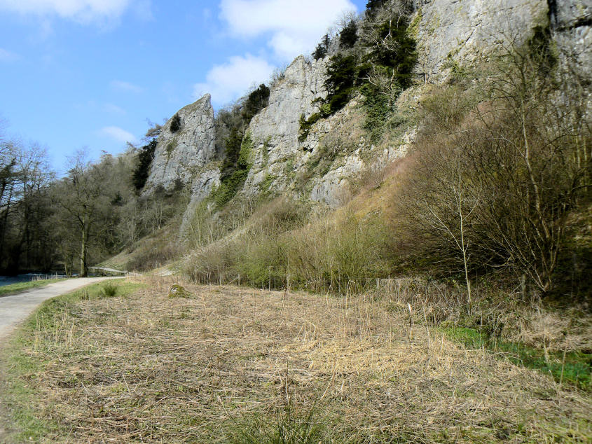 Tissington Spires