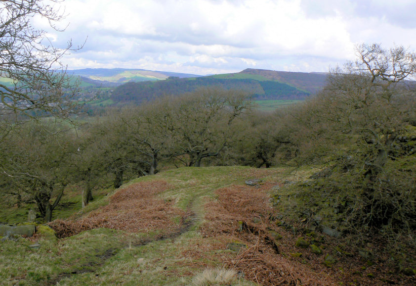 Baslow Edge