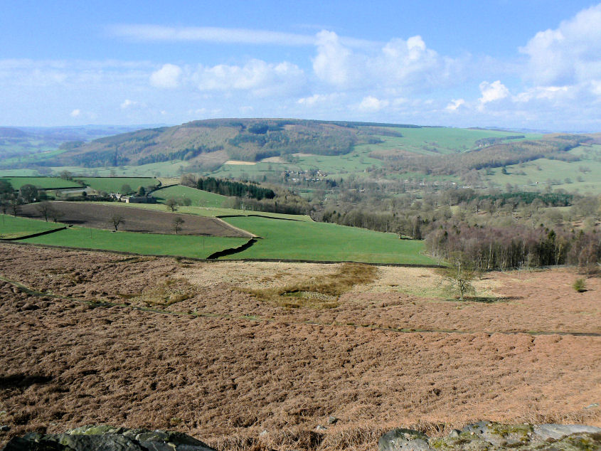 Calton Lees