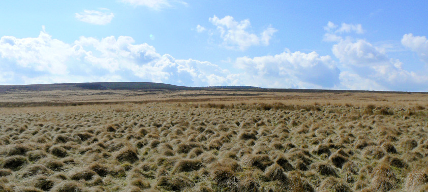 Gibbet Moor