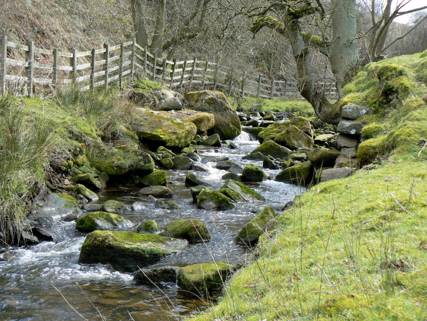 Heathy Lea Brook