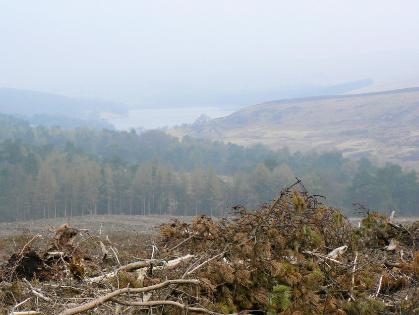 Errwood Reservoir