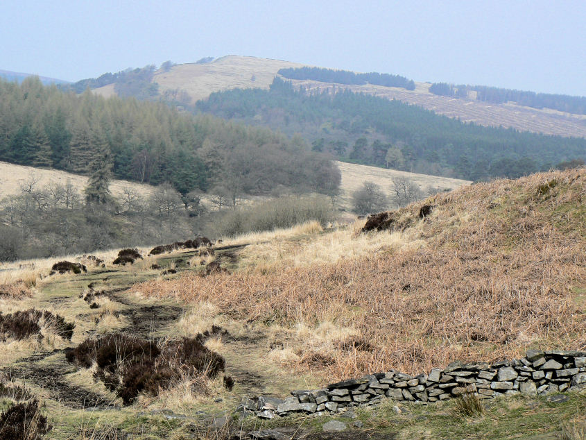 Foxlow Edge