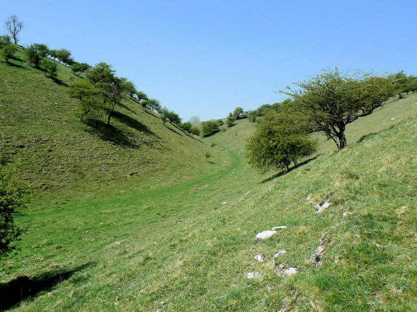 High Dale