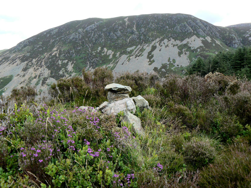 Bowness Knott's summit